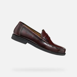 Regal Step Brown Loafers